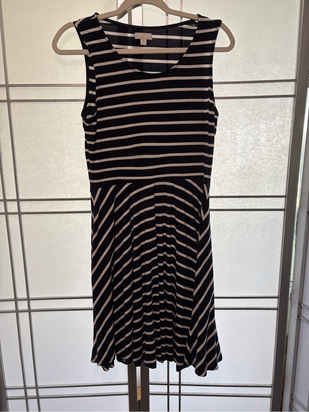 Striped Sleeveless A-Line Dress in Black and White